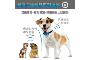 智能寵物電子產品訓狗器方案
